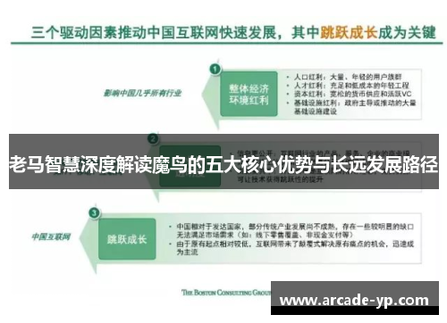 老马智慧深度解读魔鸟的五大核心优势与长远发展路径