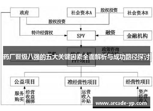 药厂晋级八强的五大关键因素全面解析与成功路径探讨