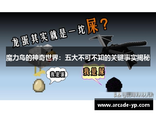 魔力鸟的神奇世界：五大不可不知的关键事实揭秘